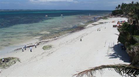 Nyali beach, Mombasa, Kenya - Ultimate guide (February 2025)