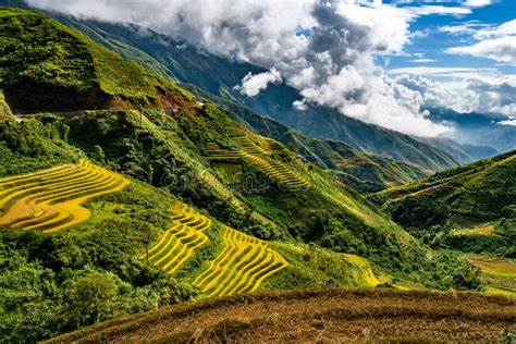 Mu Cang Chai Landscape Terraced Rice Field Near Sapa Stock Image