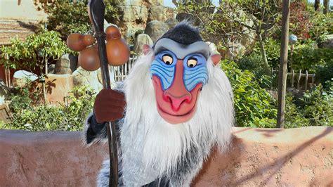 Meet 'n' Greet with Rafiki| Disneyland Paris