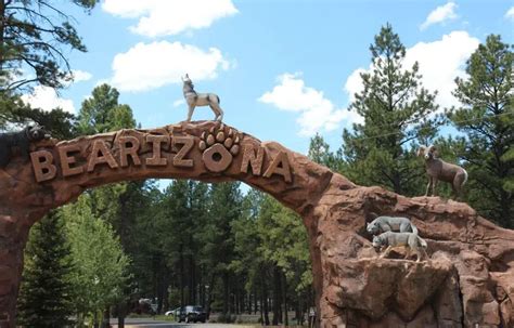 Visit Bearizona Wildlife Park: Thrilling Events, Tickets & FAQs 2024