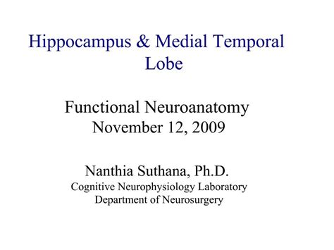 Ppt Hippocampus Medial Temporal Lobe Functional Neuroanatomy November