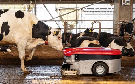 Lely Discovery Collector C Combats Lameness In Cattle Agriland Ie