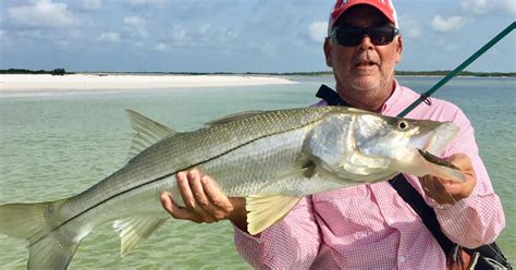 Wade Fishing For Trout Snook And Redfish In The Fallwinter