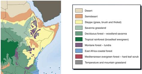 Grassland In Africa Map