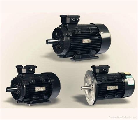 Y2 Series Three Phase Induction Motor China Trading Company Motors