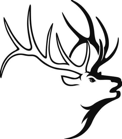 810 Bull Elk Drawing Royalty-Free Images, Stock Photos & Pictures ...