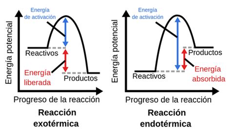 Reacciones exotérmicas y endotérmicas Labster