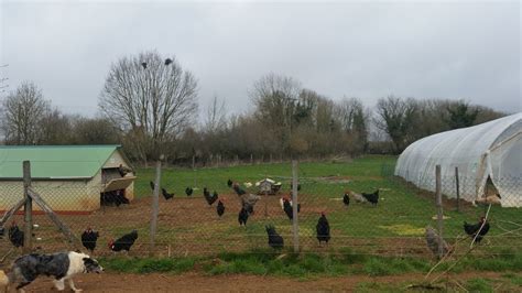 La Ferme De La Ruchotte Bligny Sur Ouche Reviews Photos Address