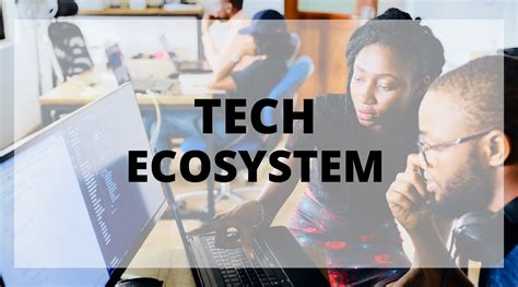 What Is A Tech Ecosystem And How It Can Be Highly Impactful For Startups