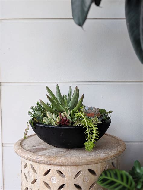 How To Make An Amazing Succulent Bowl House Nerd