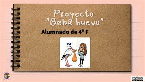 PROYECTO BEBÉ HUEVO