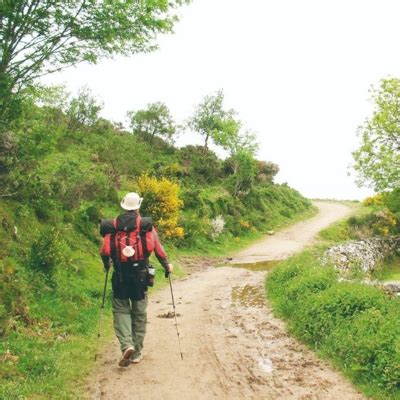 Filho De Avelina Noronha Planeja Caminhar 1 105 Km Para Reverenciar A