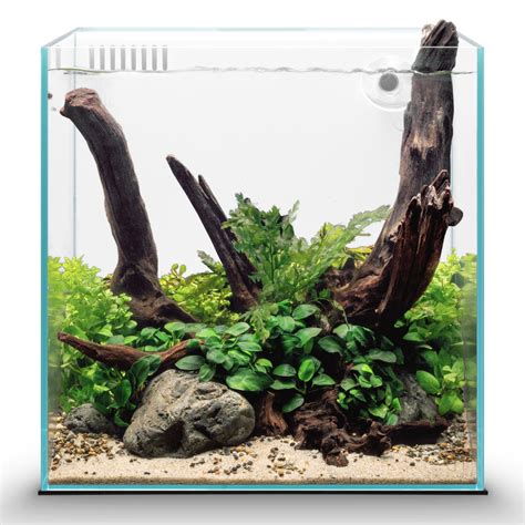 Amazon Ultum Nature Systems Rimless All In One Aquarium Cube