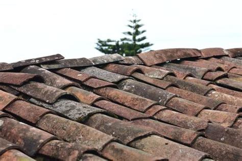 A Homeowners Comprehensive Guide To Roof Maintenance Fixr