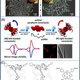 A Selfassembly Of Porphyrin 6 With Fmocglutamic Acid Into A Chiral