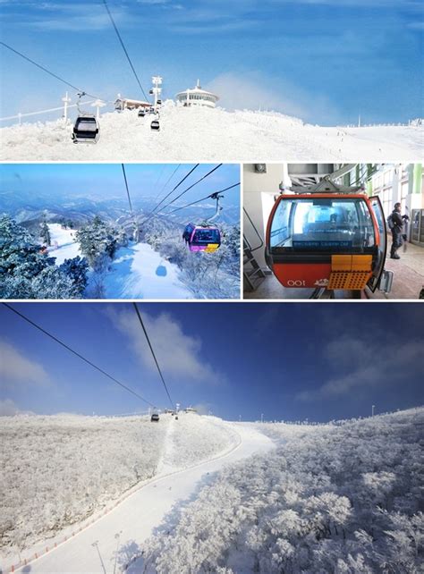 Winter Only Korea Snow Tour Onedaykorea Tours