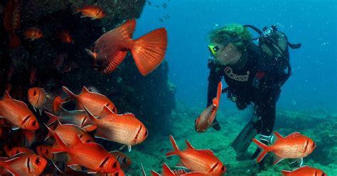 Santa María Paquete de buceo con 3 inmersiones GetYourGuide