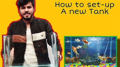 New Aquarium Setup tips for beginners, Setup a cold water fish cheap ...