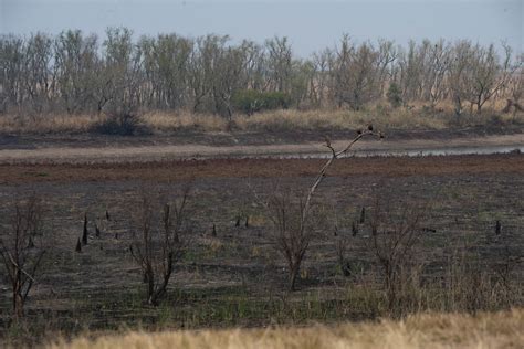 Máximo Kirchner Presentó Un Proyecto De Ley Para Restringir El Uso De