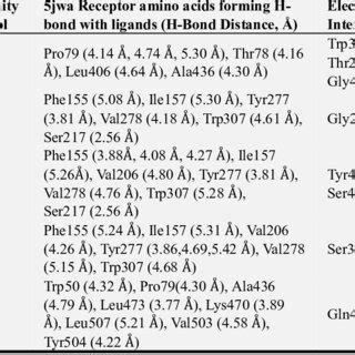 Binding Affinity H Bond Interaction Electrostatic Hydrophobic