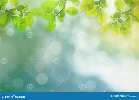 Details 100 background images green trees - Abzlocal.mx