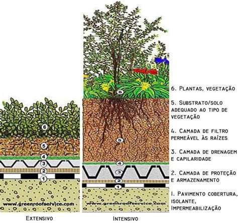 Prot Tipos De Telhados Verdes Extensivos Para A Cidade De Curitiba O