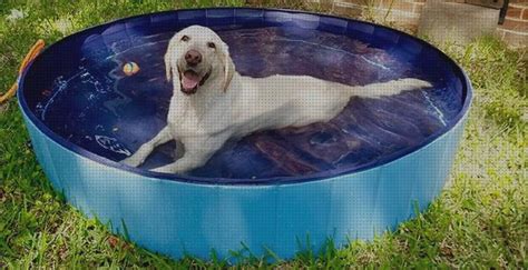 ᐉ 30 Mejores Piscinas Hinchables De Animales Y