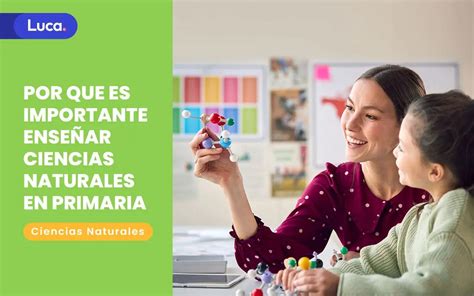 Por Qué Es Importante Enseñar Ciencias Naturales En Primaria