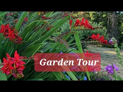 Sunday Morning Garden Tour July Youtube