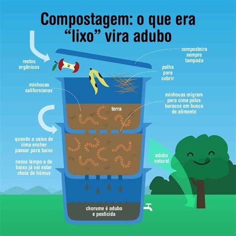 Compostagem Compostagem Vermicompostagem Compostagem Caseira