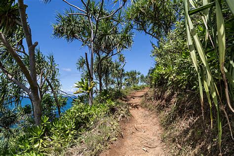 180 Kauai Kalalau Trail Stock Photos Pictures And Royalty Free Images