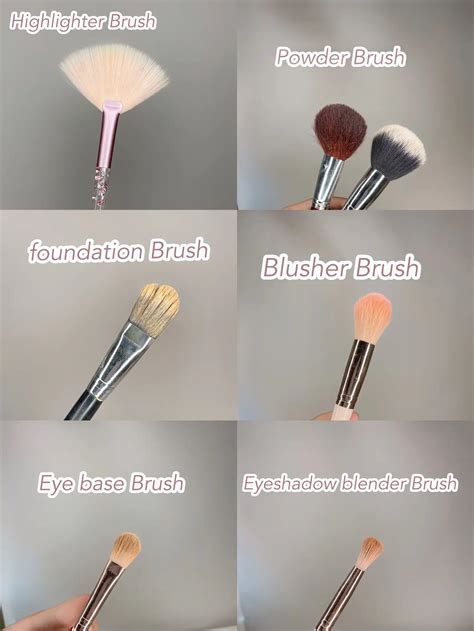 Makeup Brushes And Their Uses With Pictures Saubhaya Makeup