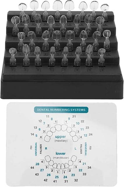 Lot De Moules Composites En R Sine Photopolym Risable Pour Facettes