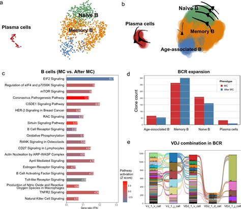 Single Cell Analysis Of B Cells From Mc Patients A The Distribution