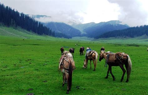 Leepa Valley Pakistan Tours Guide