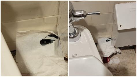 Hidden Camera Found Inside Canadian Tim Hortons Bathroom R Worldnews