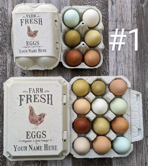 Egg Cartons-vintage Themed COLOR Printed Full Dozen 12 or 6 - Etsy