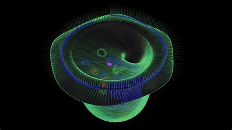 15 Vorticella Facts - Facts.net