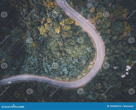 Top View of a Road in a Forest Stock Photo - Image of forest, nature ...