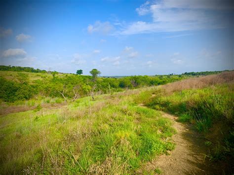 Valley of the Rainbow Birds – DFW Urban Wildlife