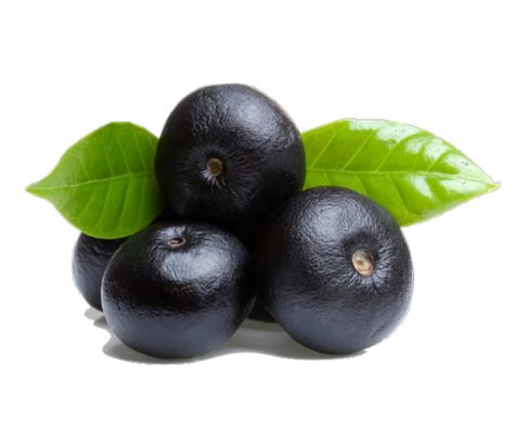 Foto De Açaí Berry Png Png Mart