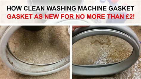 How To Clean And Remove 100 Mould From Washing Machine Door Seal Gasket Youtube