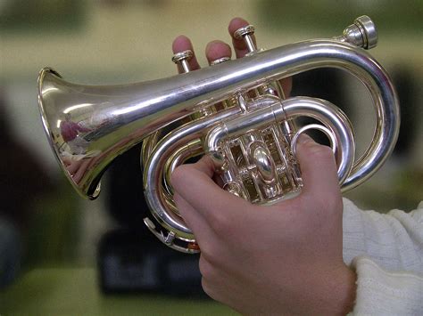 File:Pocket trumpet.jpg - Wikimedia Commons