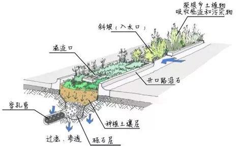 屋顶雨水花园 屋顶雨水收集 屋顶雨水收集器 第3页 大山谷图库