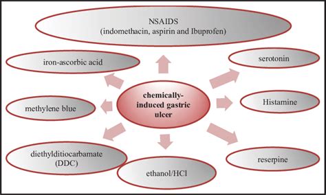 Chemically-induced experimental gastric ulcer. | Download Scientific ...