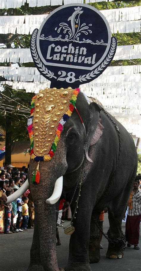 Cochin Carnival 2012-2013 in Fort Kochi - Paperblog