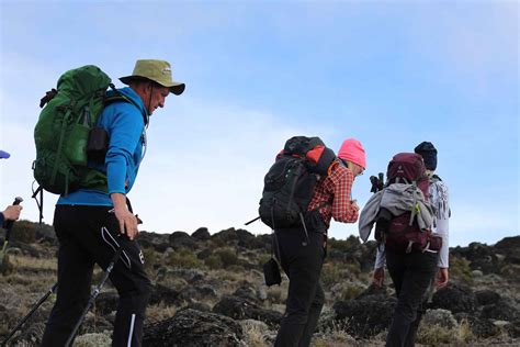 Kilimanjaro Trekking Tours - Shimbwe Meadows Guest House