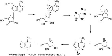 The Mechanism Of N Glycosidic Bond Cleavage Of Ampna In Acidic