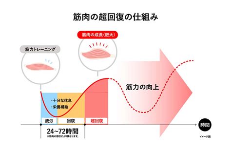 筋肉痛があるとき筋トレはok？痛みの原因や対策も解説｜がんばるあなたに。疲れの情報局｜アリナミン