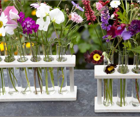 How To Recycle Gorgeous Test Tube Flower Vases